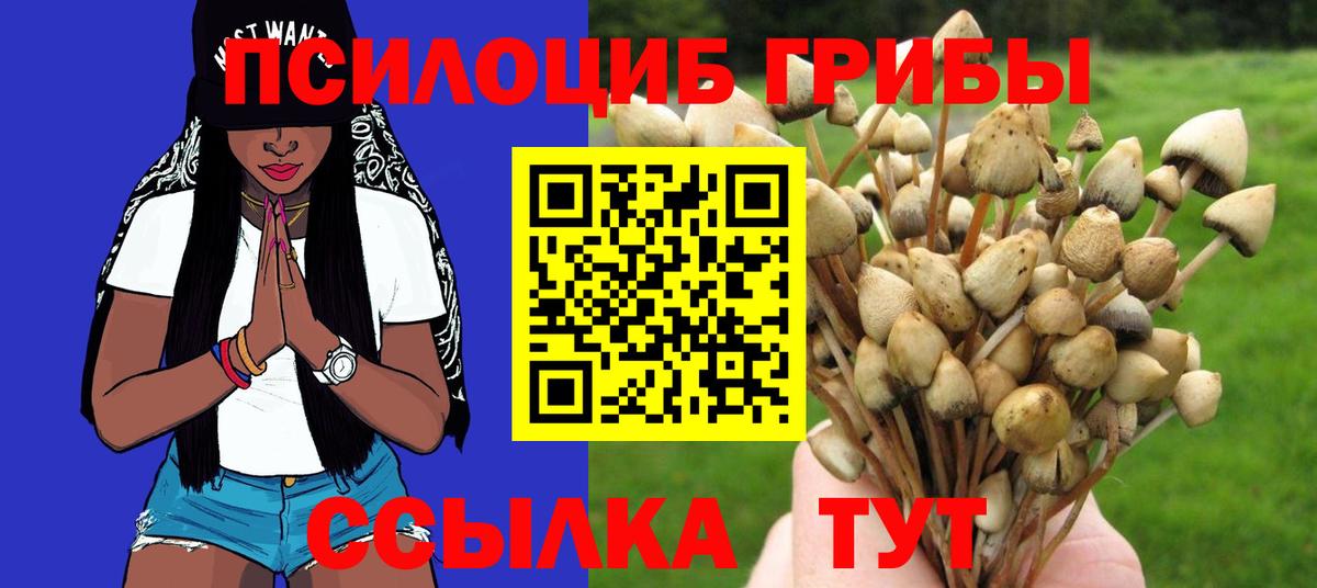 Псилоцибиновые грибы GOLDEN TEACHER Мончегорск